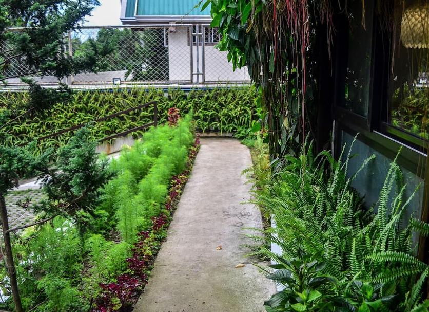 Outdoor view Photo