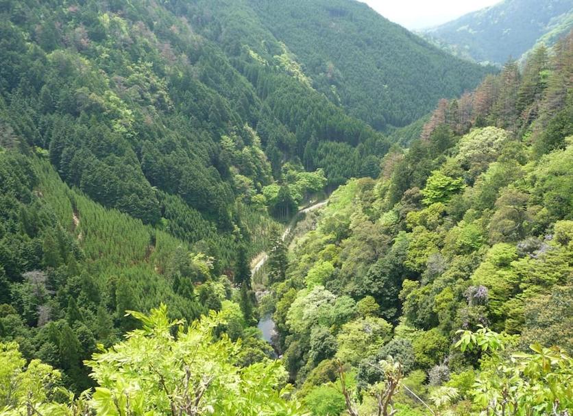 Outdoor view Photo