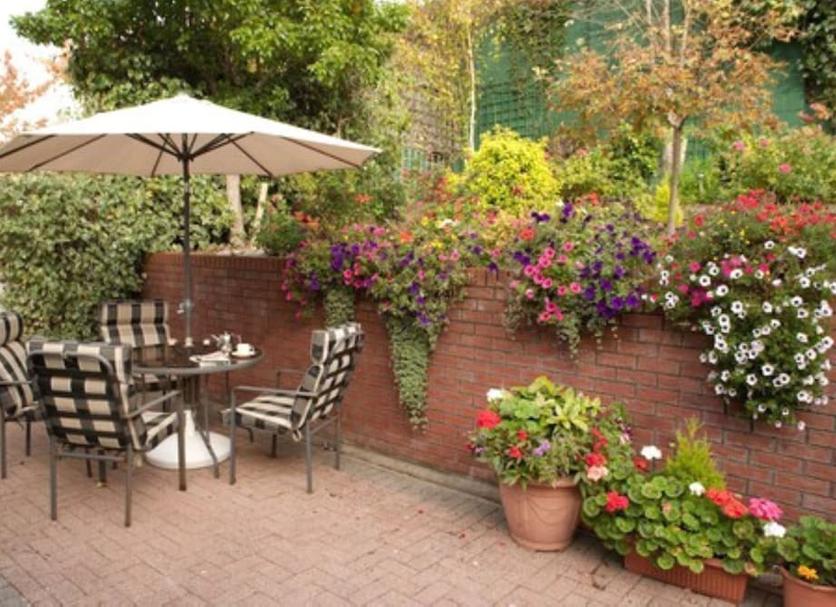 Patio Photo