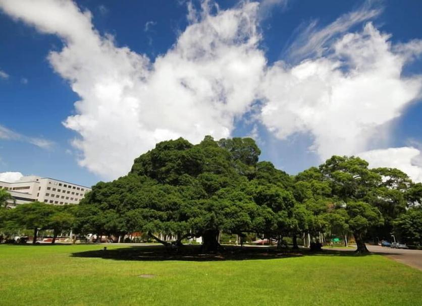 Outdoor view Photo