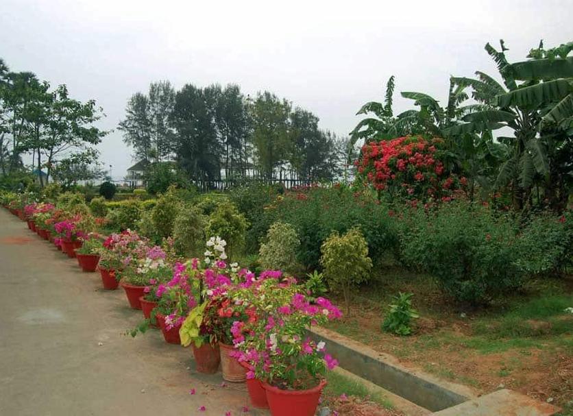 Outdoor view Photo