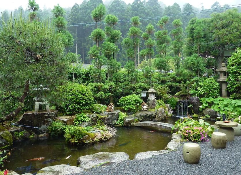 Outdoor view Photo