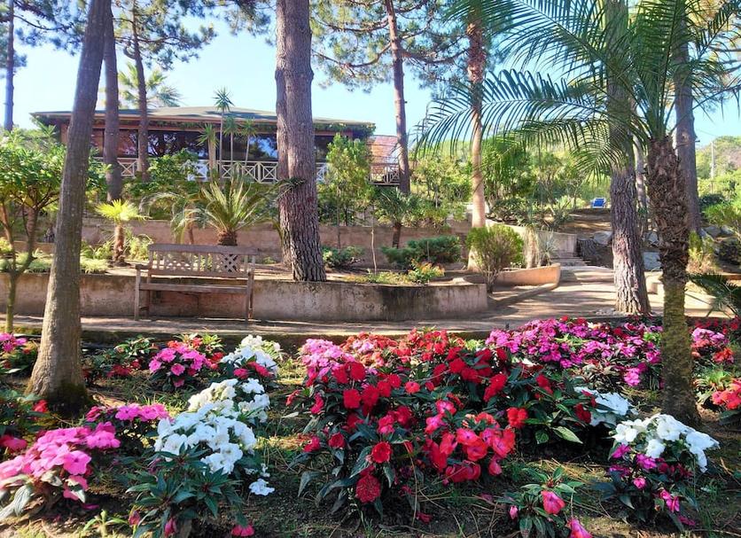 Outdoor view Photo