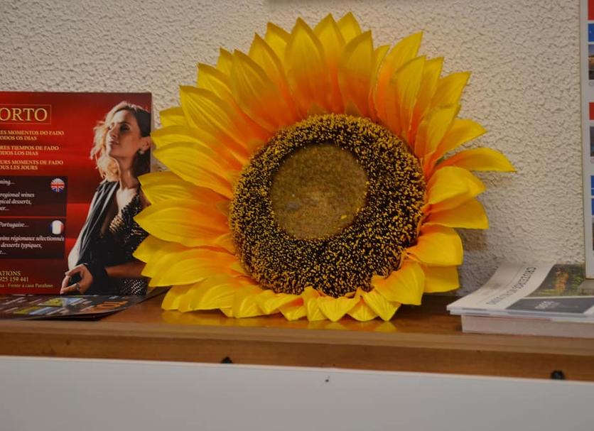 Other Photo