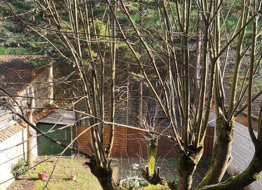 Other Photo