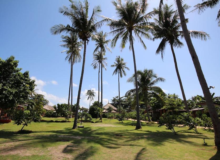Outdoor view Photo