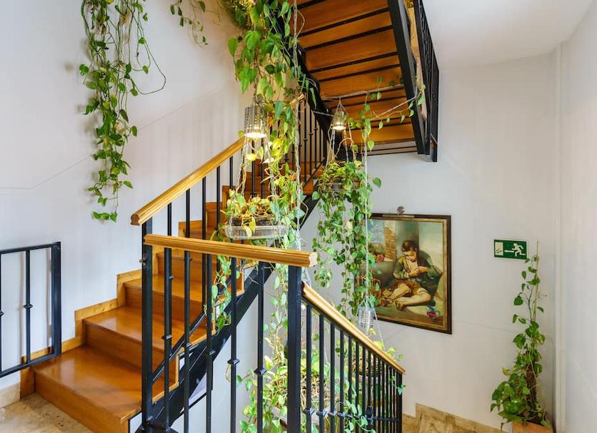 Stairs Photo