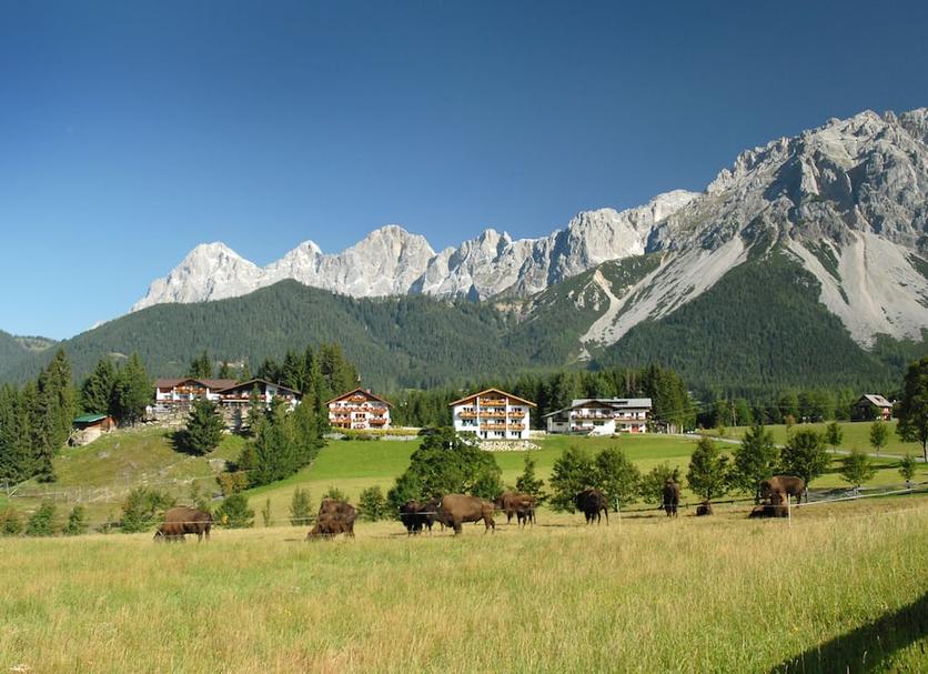 Outdoor view Photo