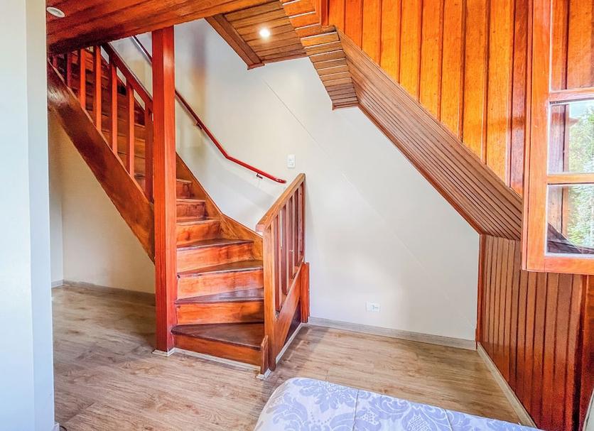 Stairs Photo