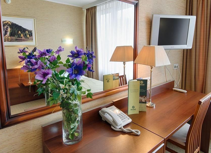 Room amenity Photo