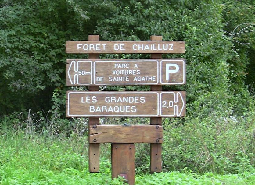 Other Photo