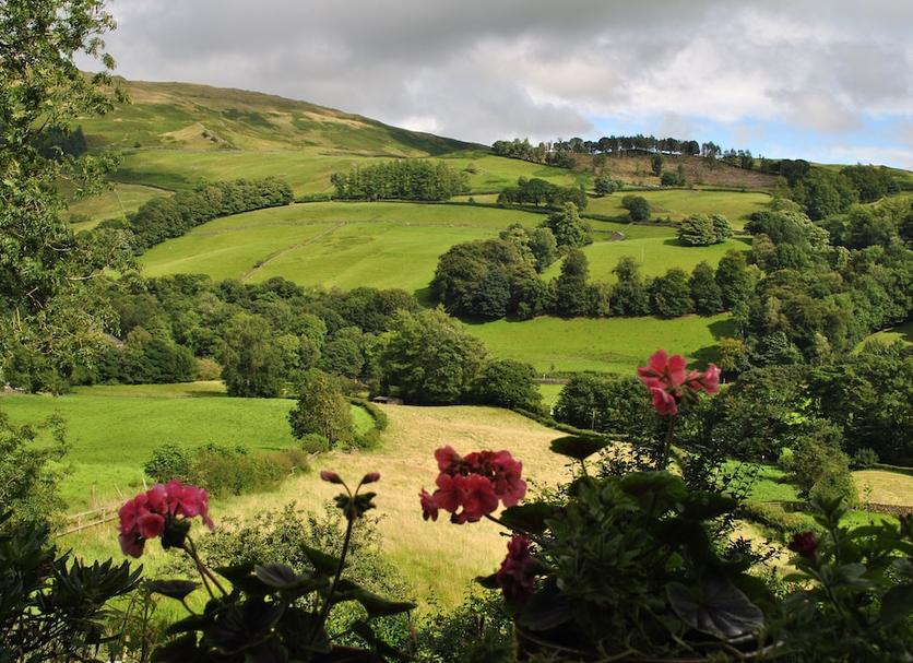 Outdoor view Photo