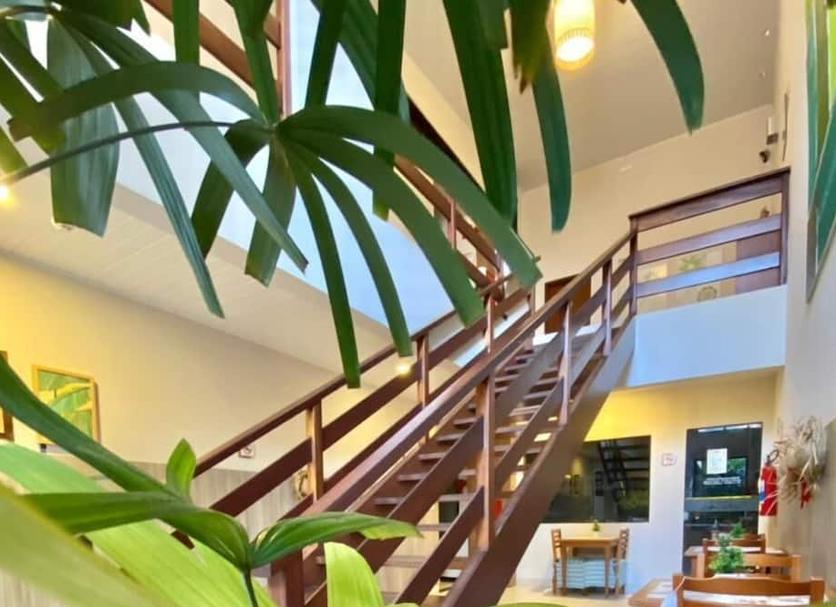 Stairs Photo
