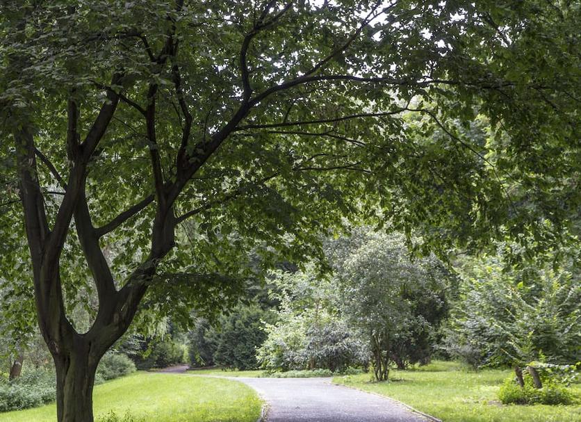 Outdoor view Photo