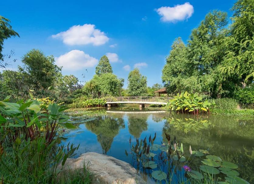 Outdoor view Photo