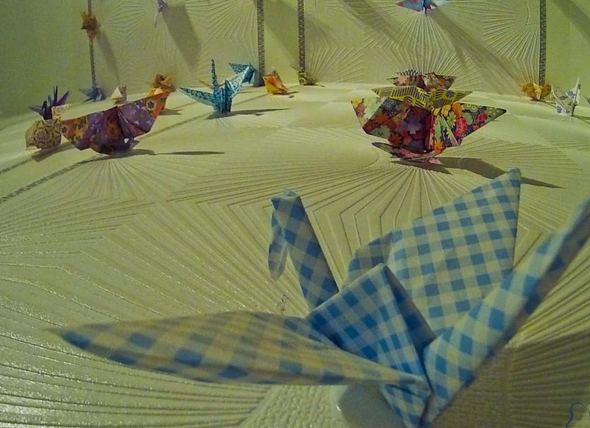 Other Photo