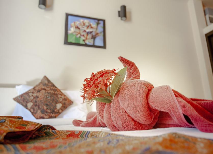Room amenity Photo
