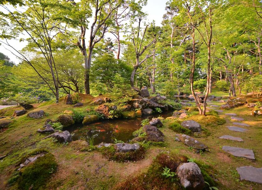 Outdoor view Photo