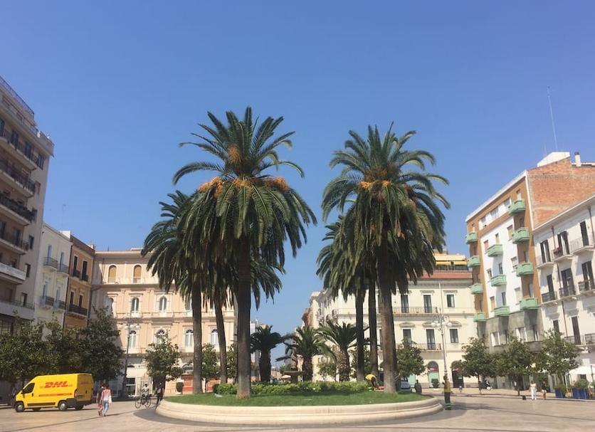 Outdoor view Photo
