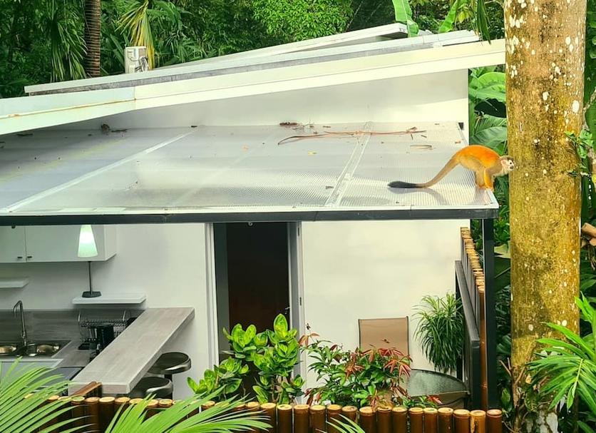 Outdoor view Photo