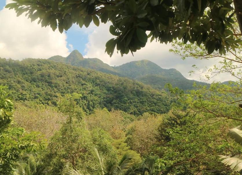 Outdoor view Photo
