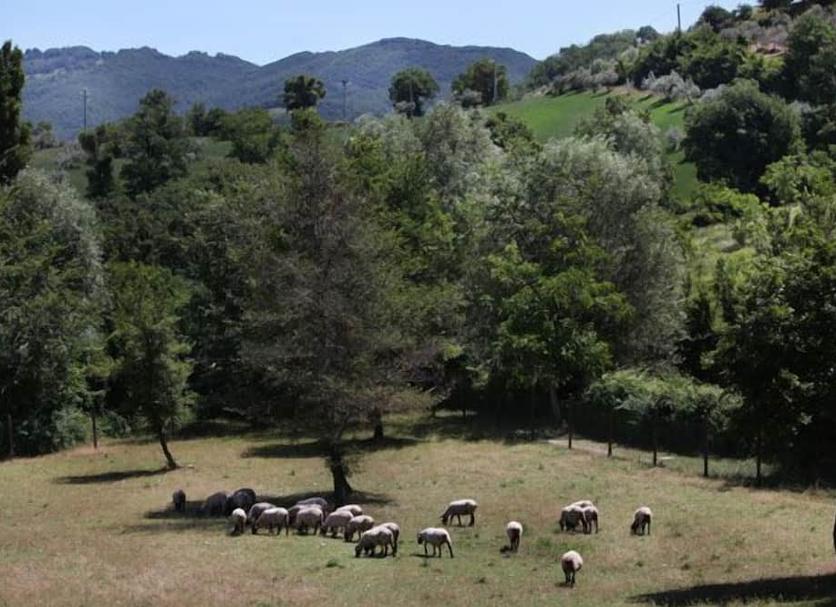 Outdoor view Photo