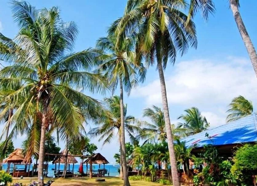 Outdoor view Photo
