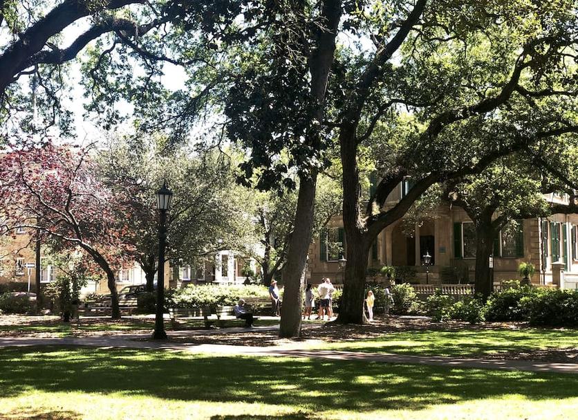 Outdoor view Photo