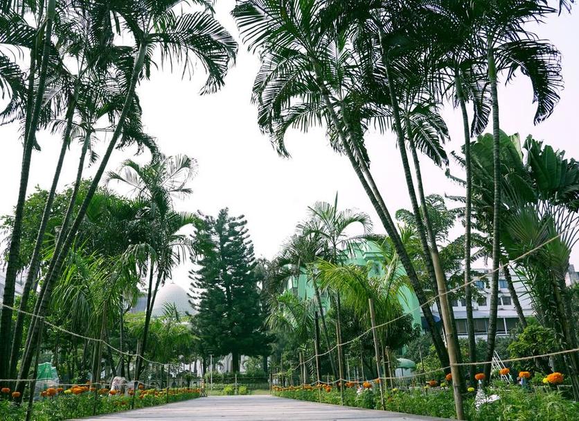 Outdoor view Photo