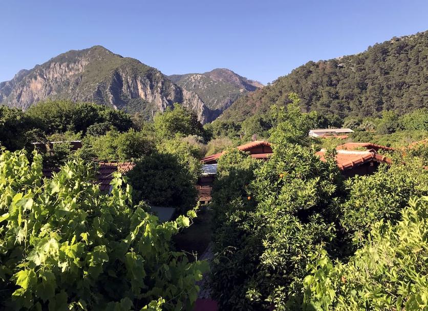 Outdoor view Photo