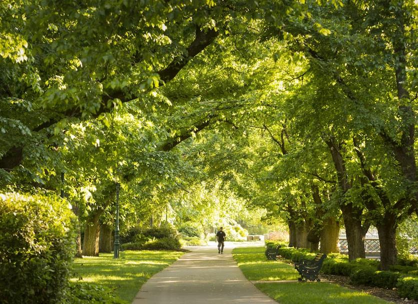 Outdoor view Photo
