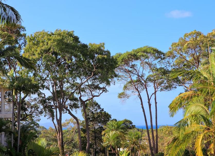 Outdoor view Photo