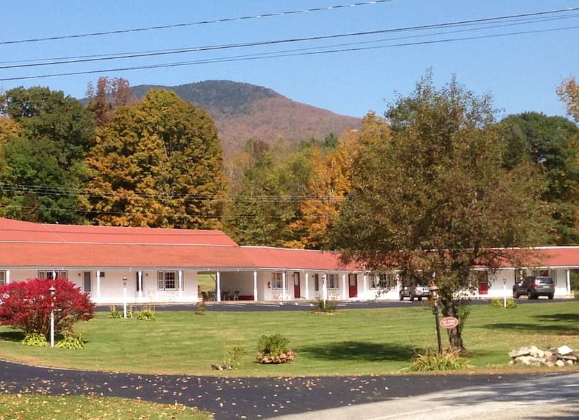 Other Photo