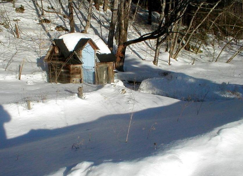 Other Photo