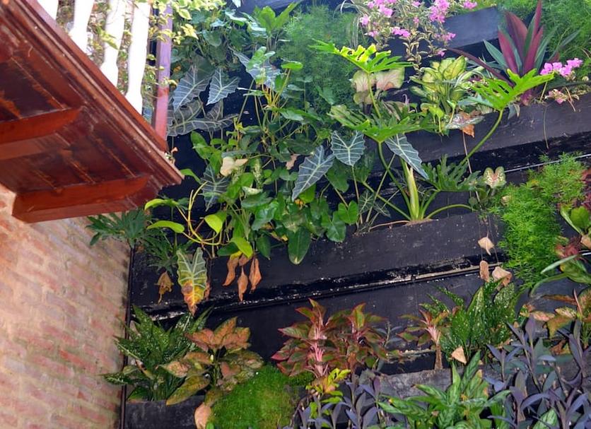 Outdoor view Photo