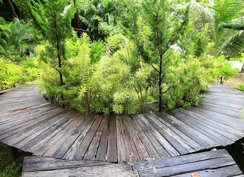 Outdoor view Photo