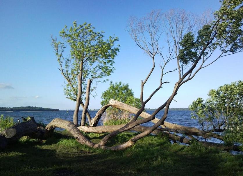 Outdoor view Photo