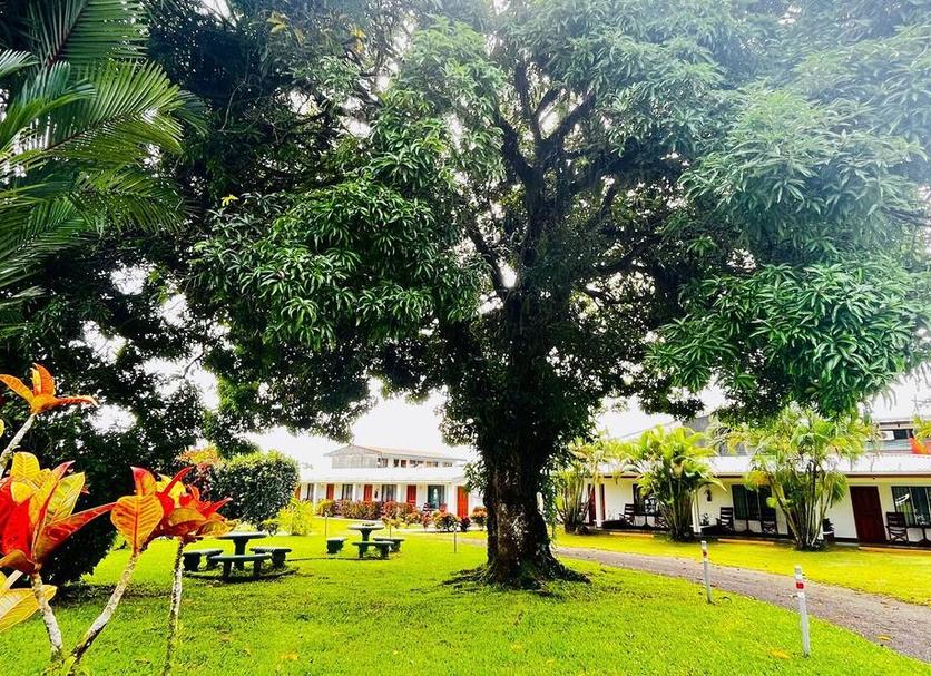 Outdoor view Photo