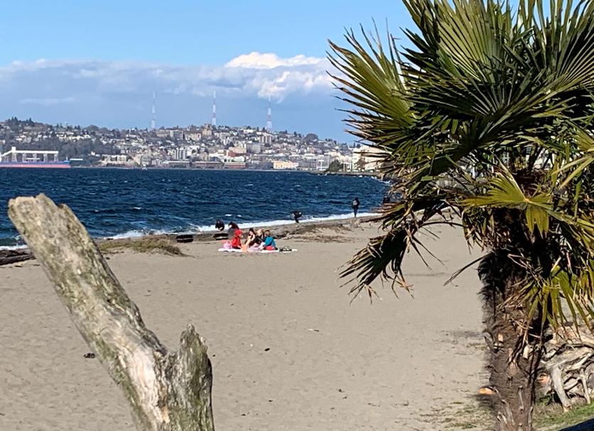 Beach Photo