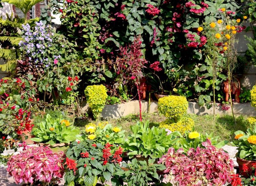 Outdoor view Photo