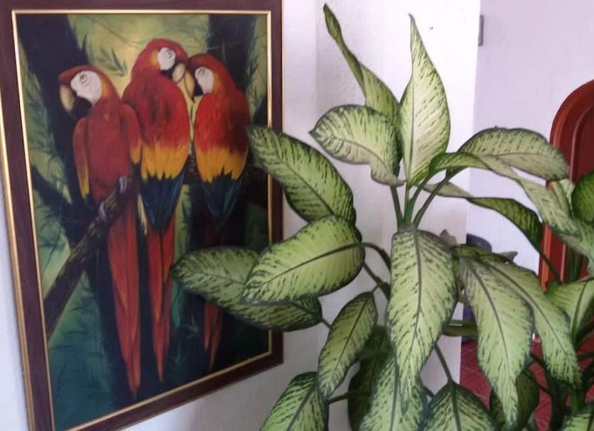 Room amenity Photo