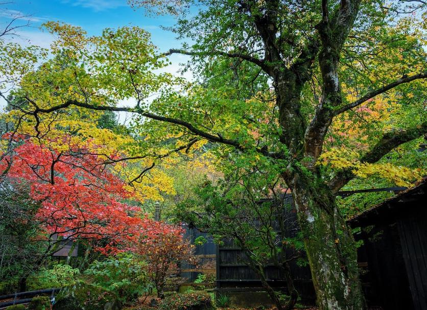 Outdoor view Photo