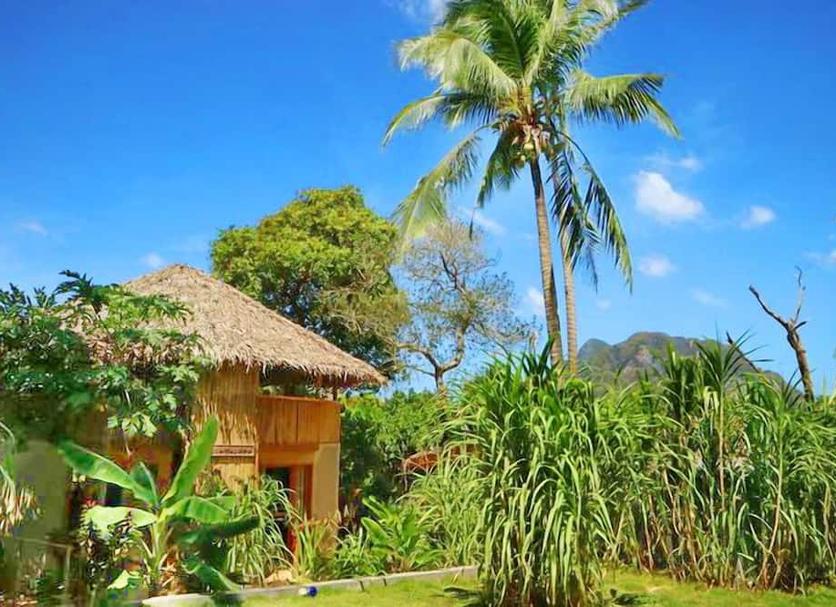 Outdoor view Photo