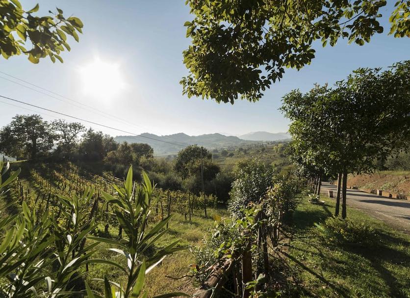 Outdoor view Photo