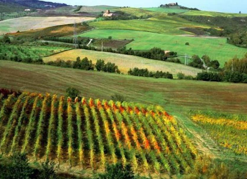 Outdoor view Photo