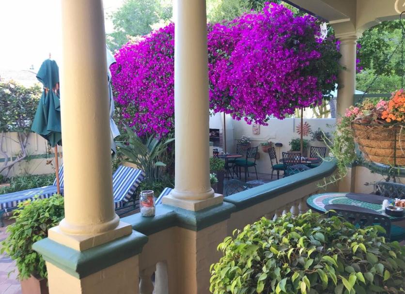 Outdoor view Photo