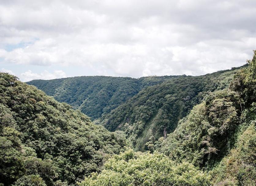 Outdoor view Photo