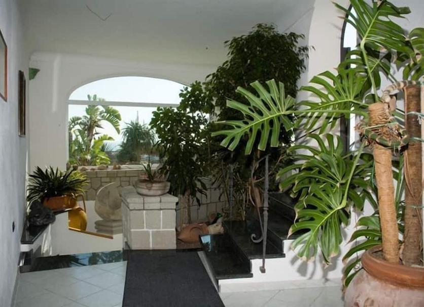 Other Photo