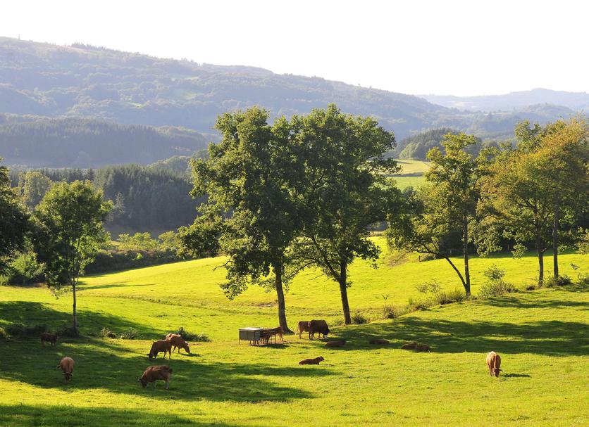 Outdoor view Photo