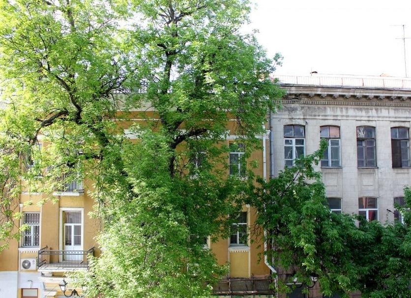 Other Photo